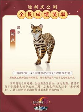 灵缘天龙八部私服